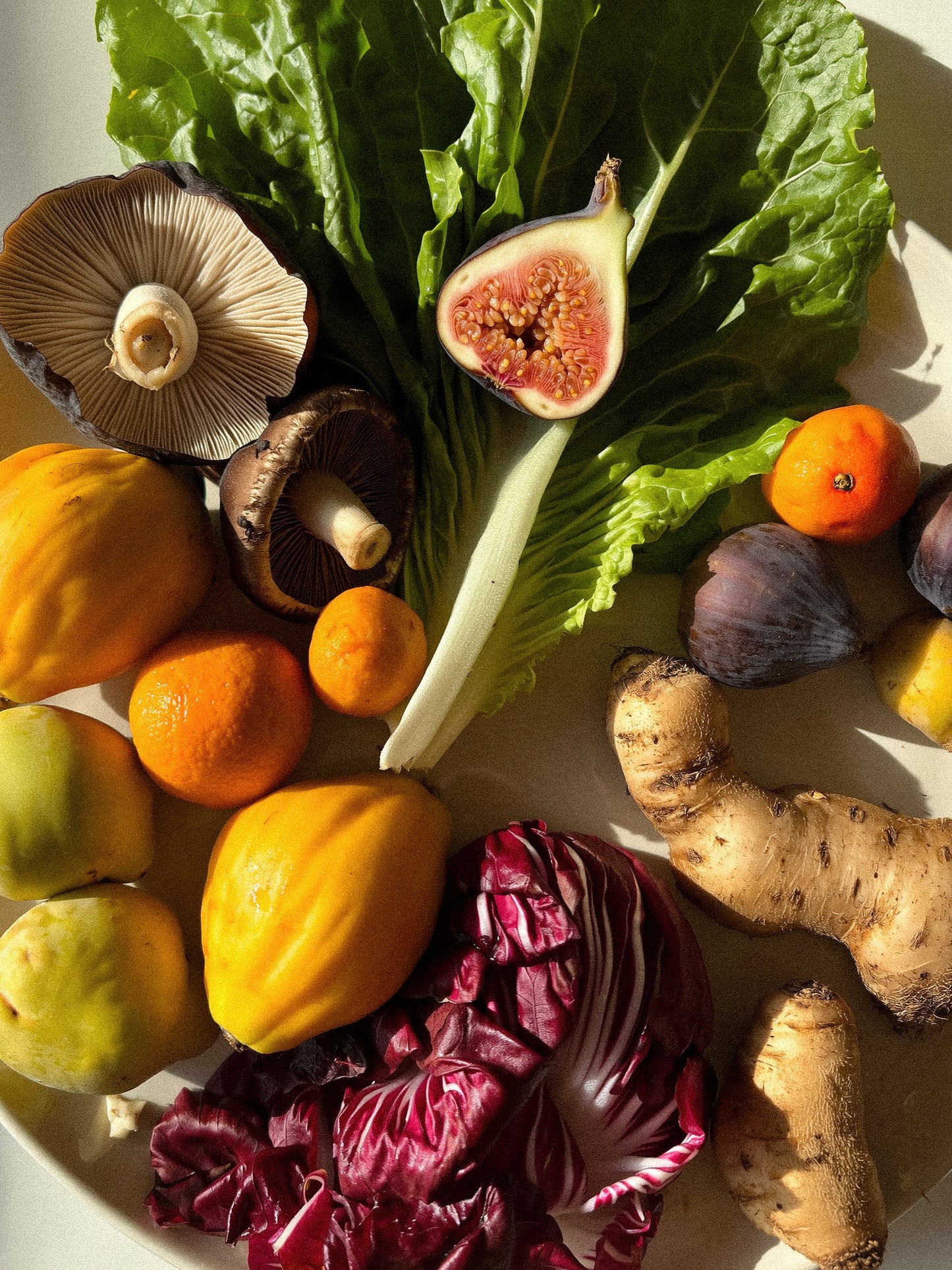 Nutrition Consultation